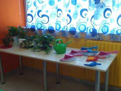 In classe c'� anche l'angolo verde dedicato alle piante